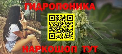 мяу мяу мука Камышлов
