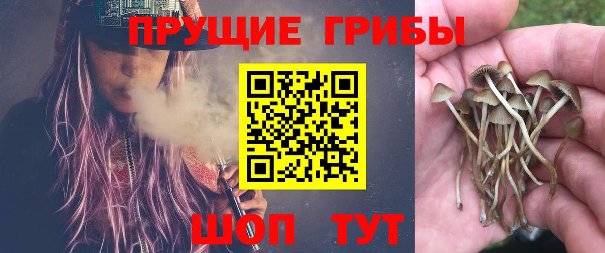 Гусев  Галлюциногенные грибы мицелий  Вход с VPN 