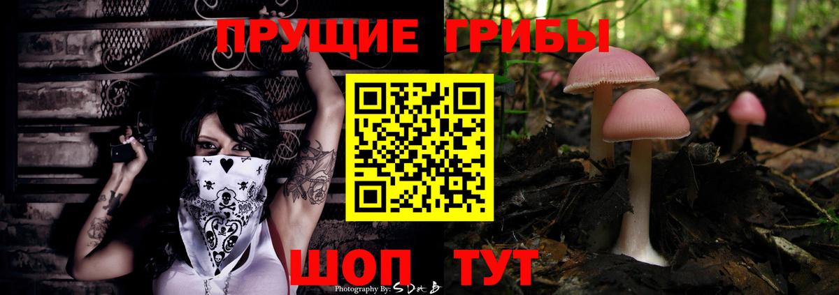 Галлюциногенные грибы GOLDEN TEACHER Гусев